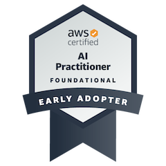 ai practitioner